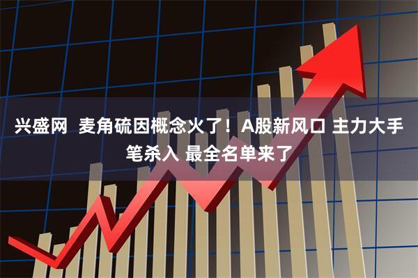 兴盛网  麦角硫因概念火了！A股新风口 主力大手笔杀入 最全名单来了