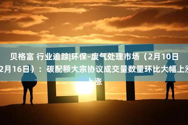 贝格富 行业追踪|环保-废气处理市场（2月10日-2月16日）：碳配额大宗协议成交量数量环比大幅上涨