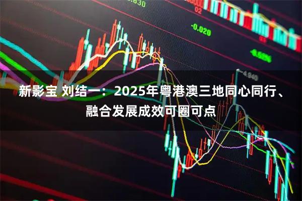 新影宝 刘结一：2025年粤港澳三地同心同行、融合发展成效可圈可点
